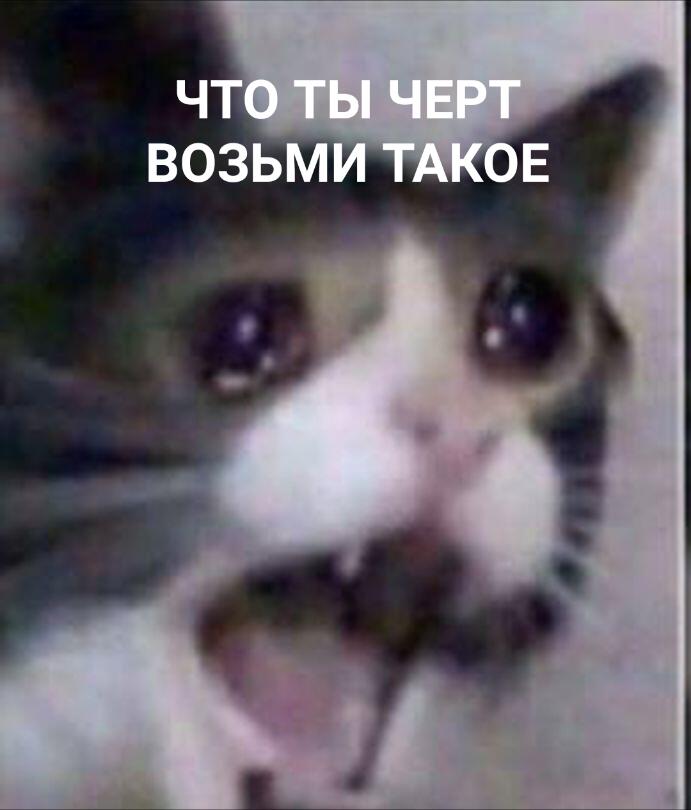 Когда в игре увидел что кто то  идёт по другой стороне а не по твоей как ТЫ привык