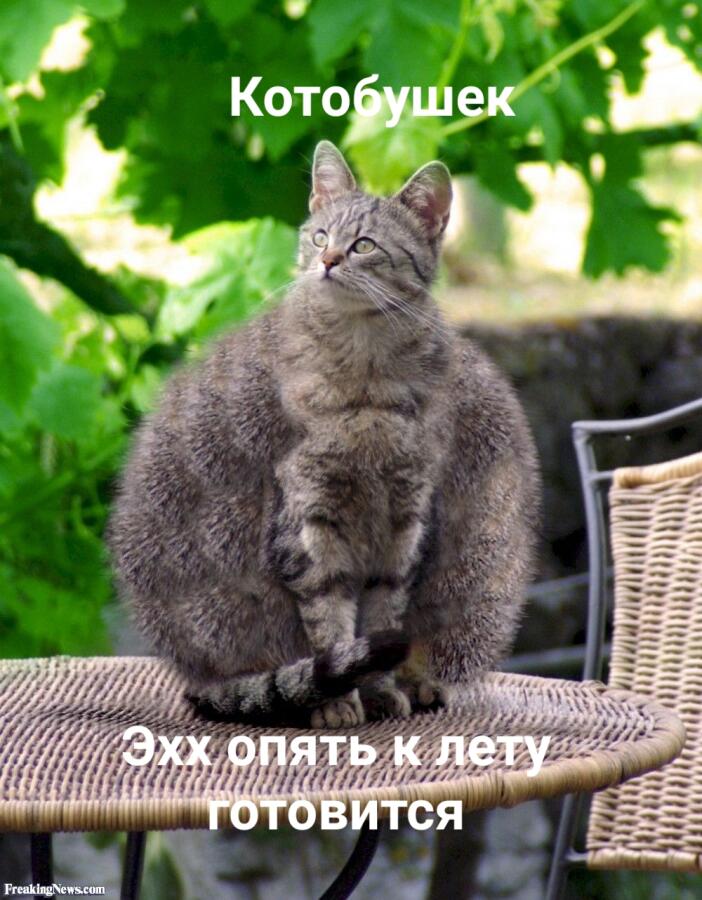 Когда зимовал у бабушки: