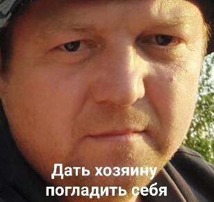Логика кота: