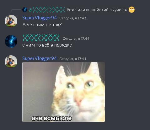 Недавно в Дискорде Тerraria Мinigames произошёл мем