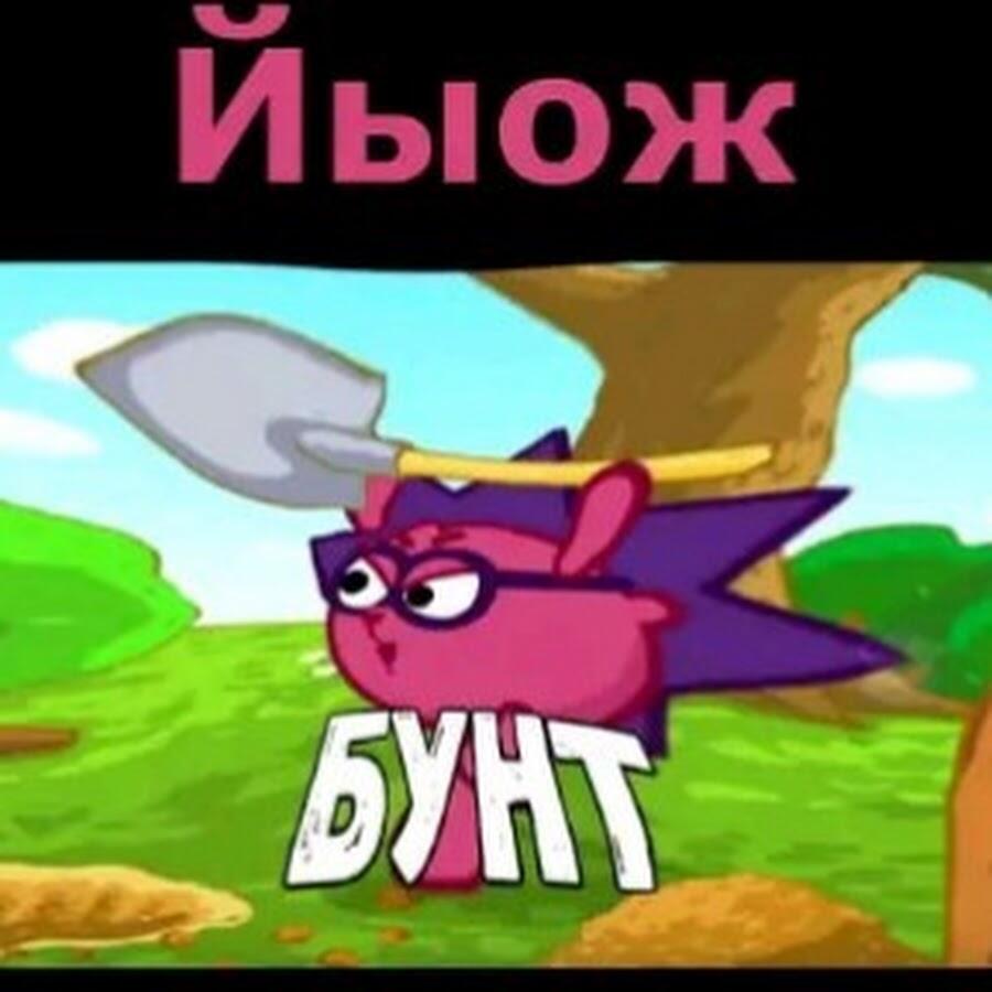 Мама : та чему тебя тот мемозг учит ?  
Также мемозг: еволюция ёжика