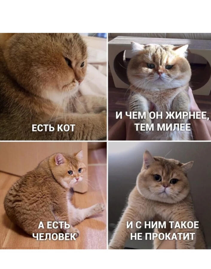Мем от ДЫМ ДЫМЫЧ