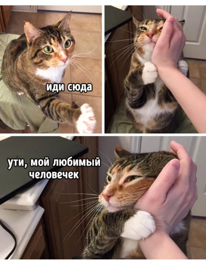 Мем от ДЫМ ДЫМЫЧ