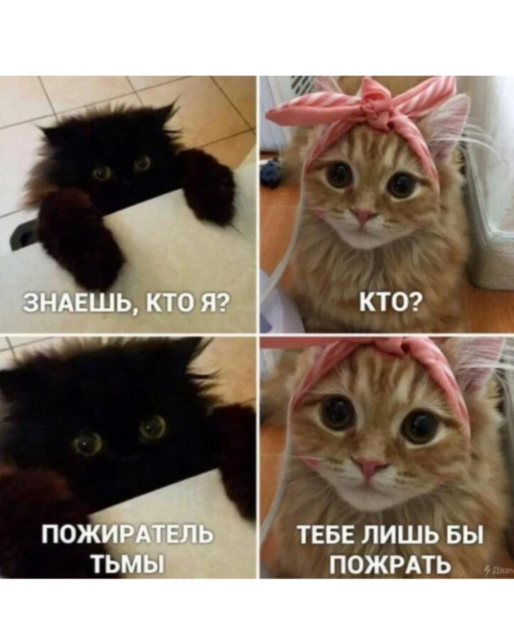 Мем от ДЫМ ДЫМЫЧ