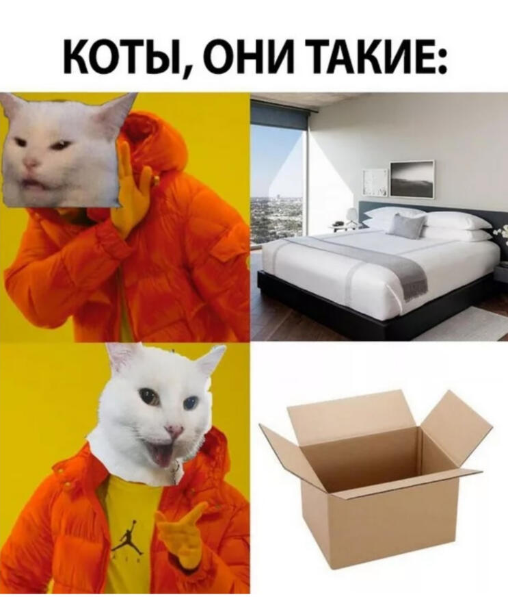 Опять старый мем в современном исполнении 😸