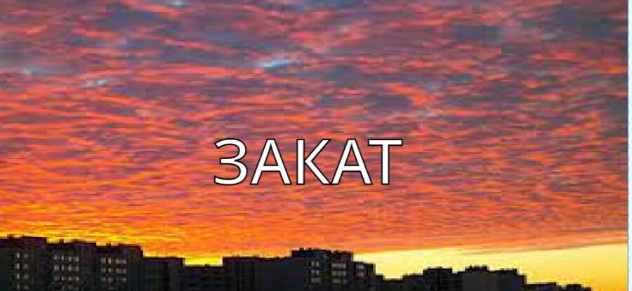 У меня нет слов