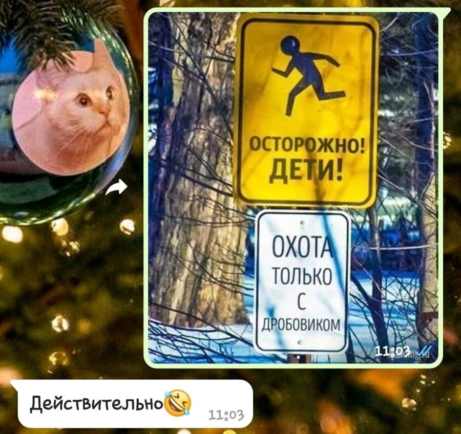 Я полностью согласен 😂