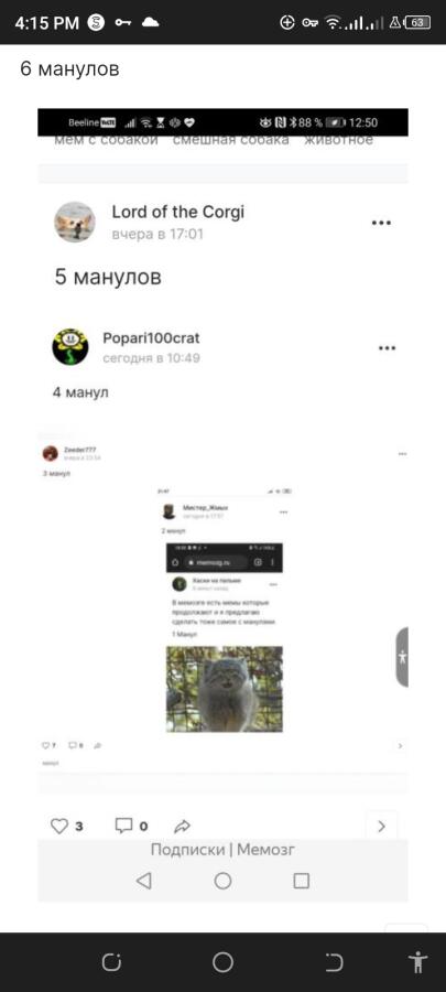 6 манулов)
