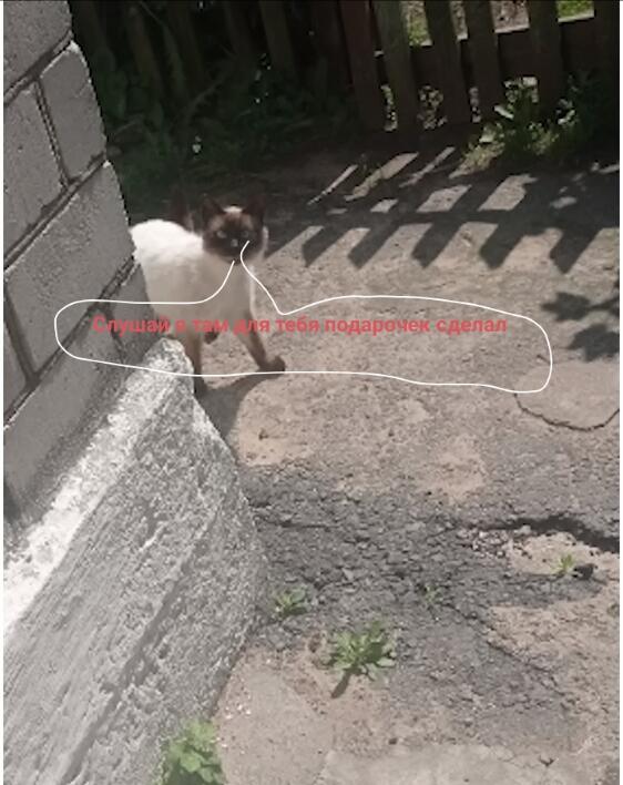 Мем без подписи