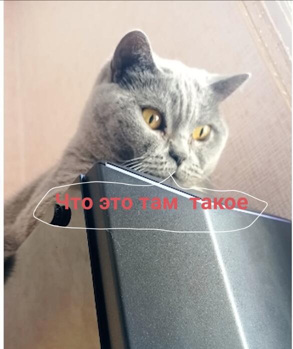 Мем без подписи