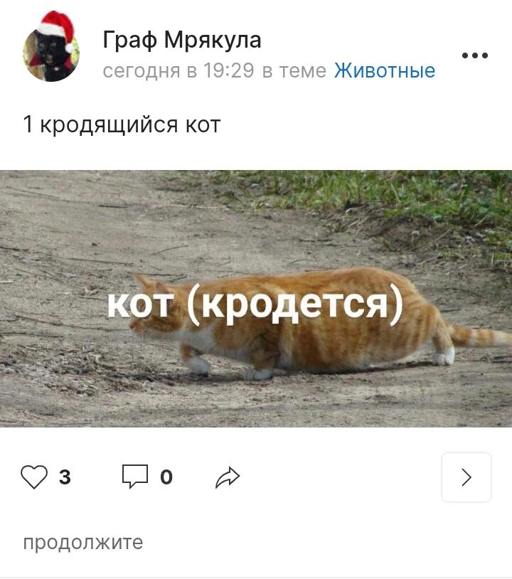 2 кродящийся кот