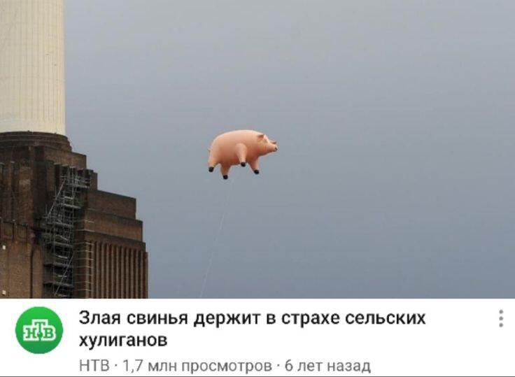 ПОЧЕМУ ЮТУБ МНЕ ЭТО РЕКОМЕНДУЕТ!?