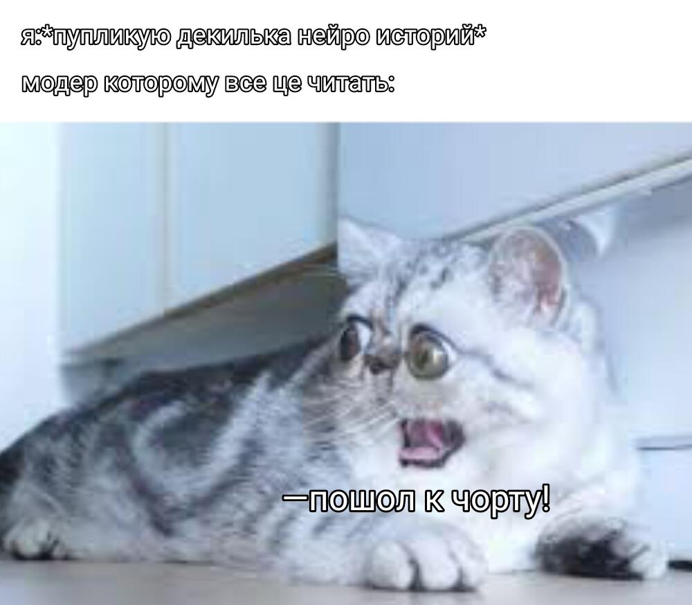 Модер которий все це читал, отзовись и скажи свою реакцию