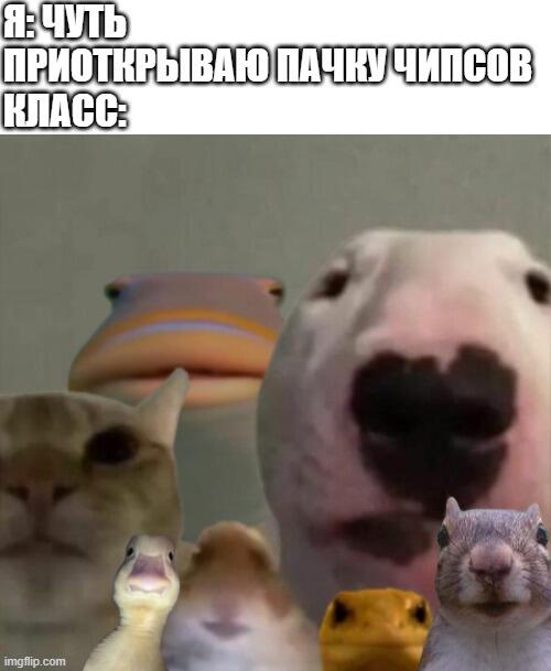 мои любимые баянчики. Вообще можно тихо открыть, ножницами например, но не дай Бог они прокачают нюх