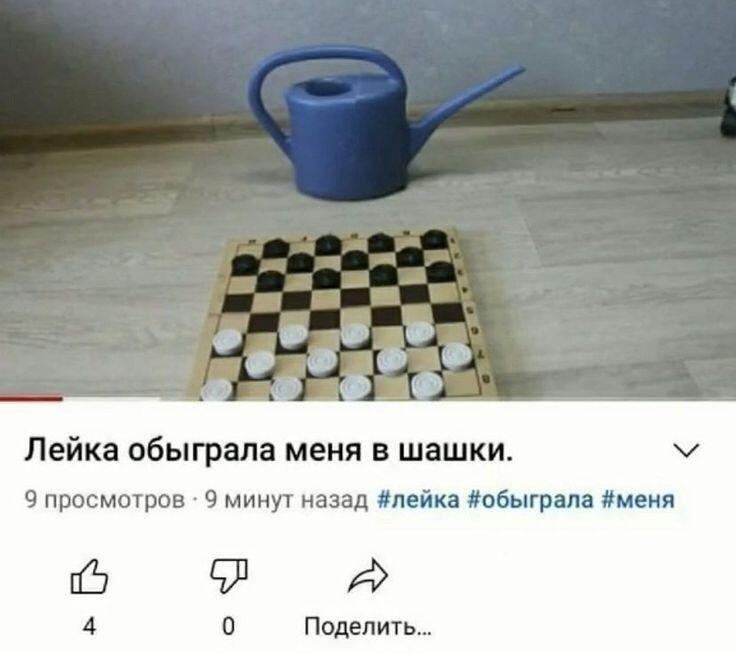 Шахматы