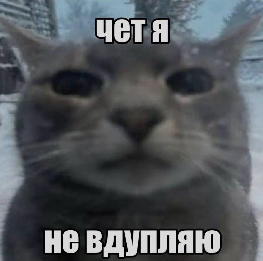 Мем от Шпепзбъ🔥