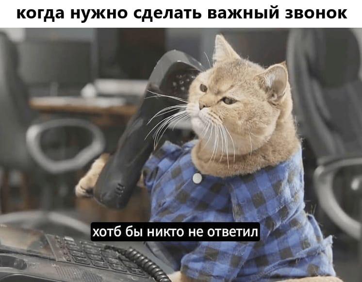 Интроверты здесь?)