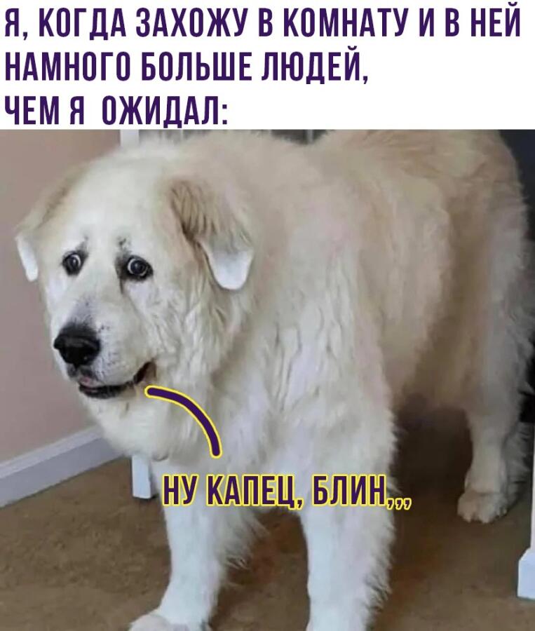 Мем без подписи