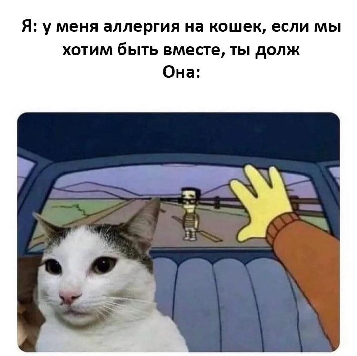 Тут даже думать нечего