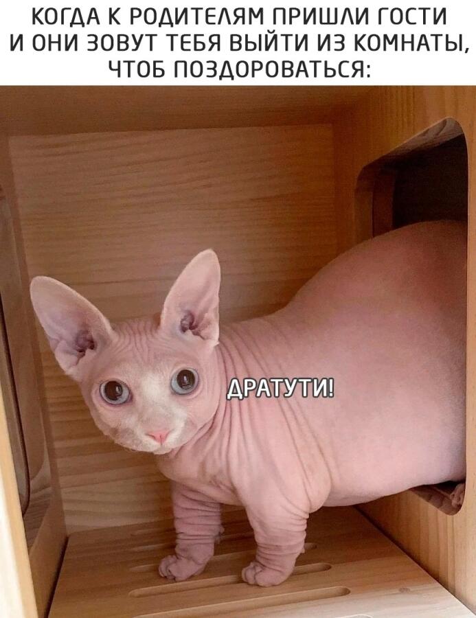 Мем без подписи