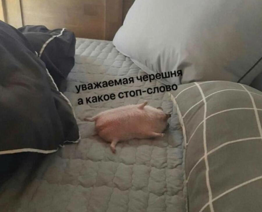 Мем без подписи