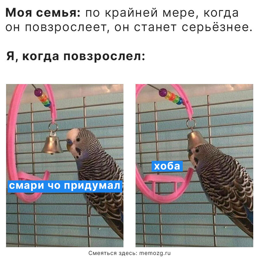 Повзрослел ≠ поумнел