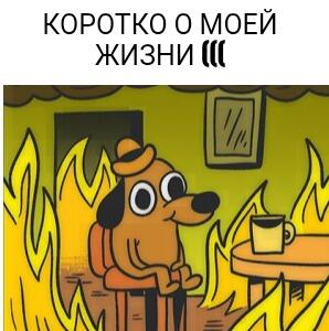 У меня у одного такое???