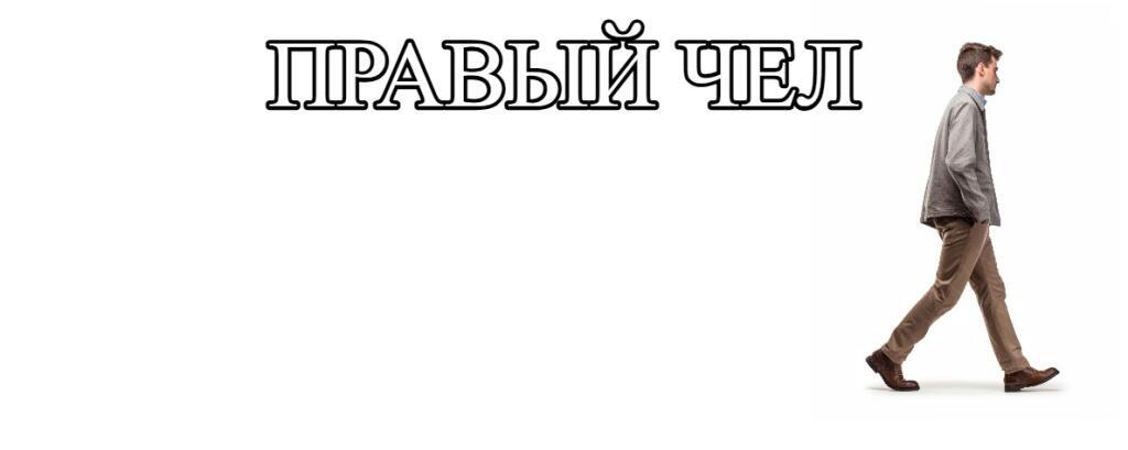 Широко раскрыв глаза, на камеру смотрит полосатая кошка, сверху надпись: листаю себе мемы (3 из 6)