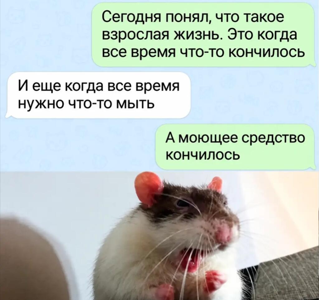 Мем без подписи