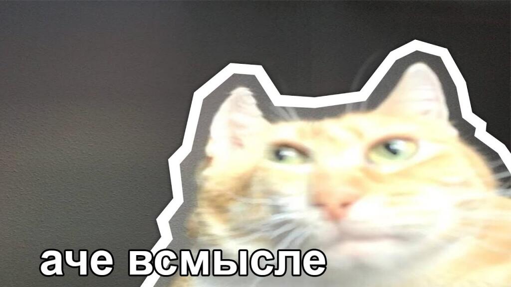 Зомби апокалипсис: "начинается"
Зомби, пытающийся найти мозги у манекена: