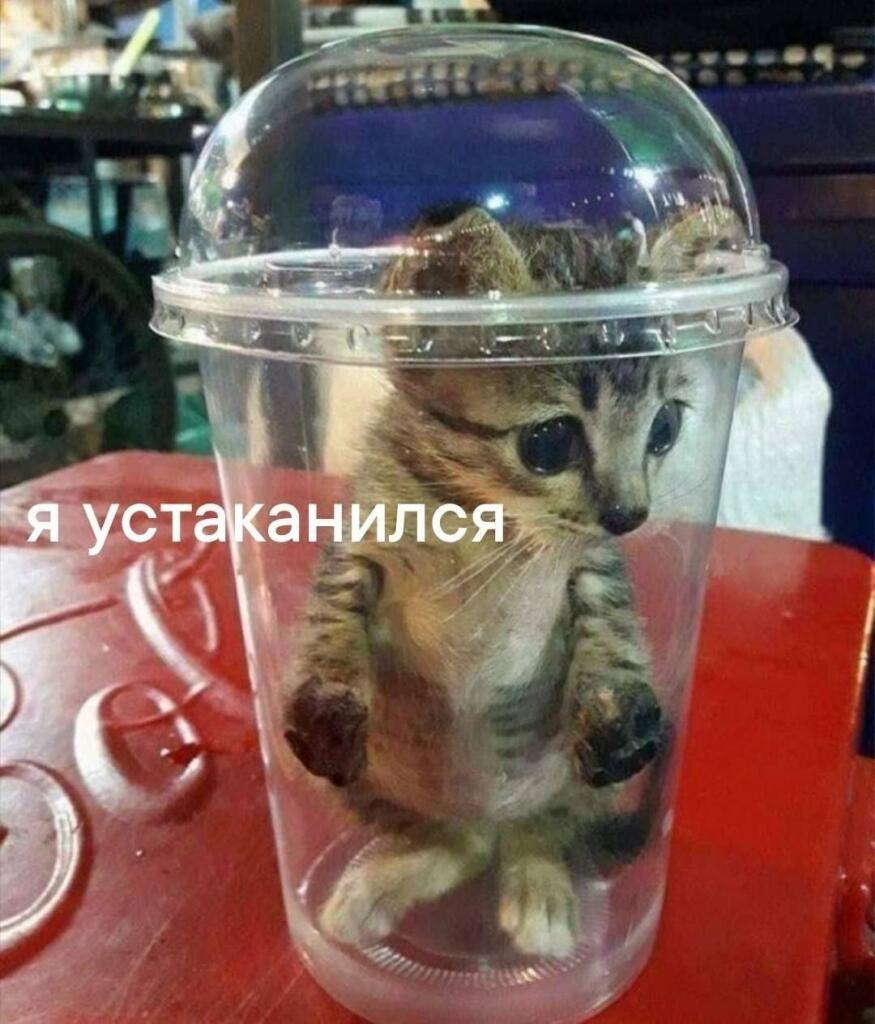Первое что приходит ко мне в голову когда слышу фразу "устаканился„