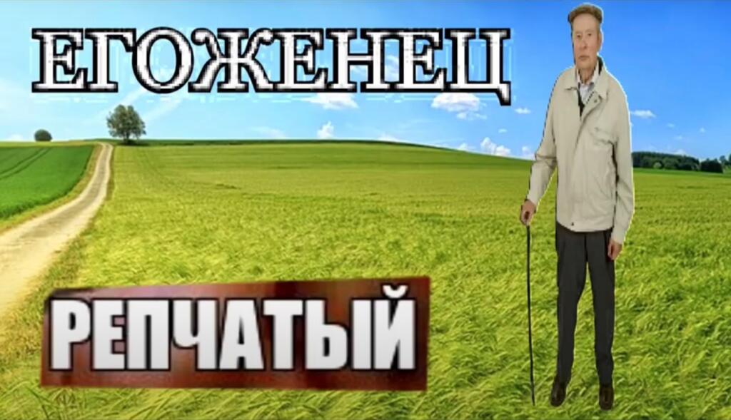 скинь это в самый неожиданый момент