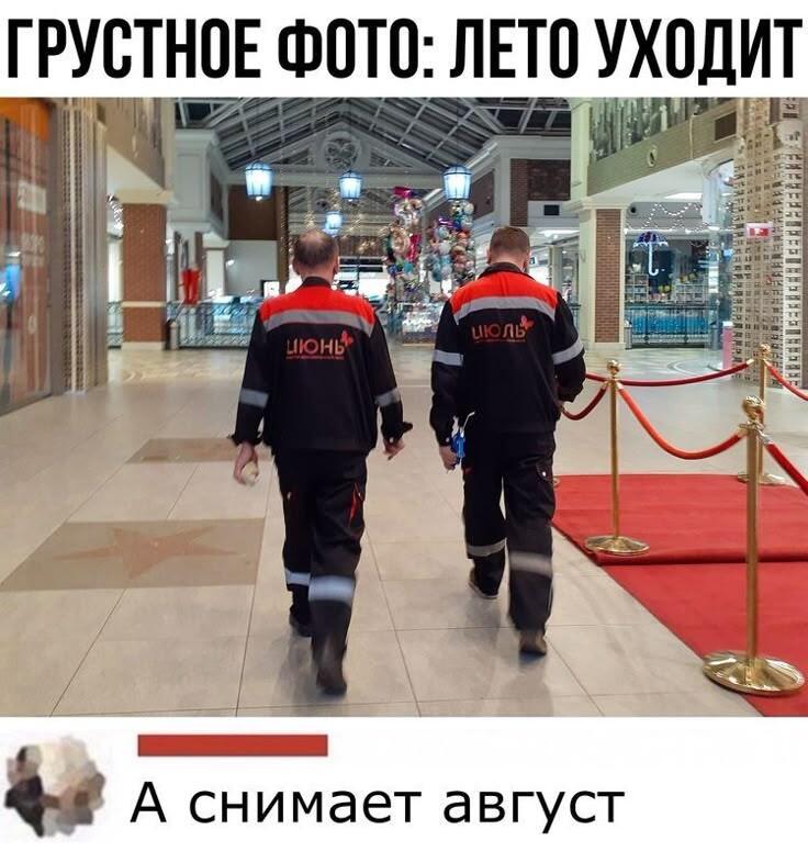 А к нам они как-раз таки приходят! Осталось всего 2 месяца до лета