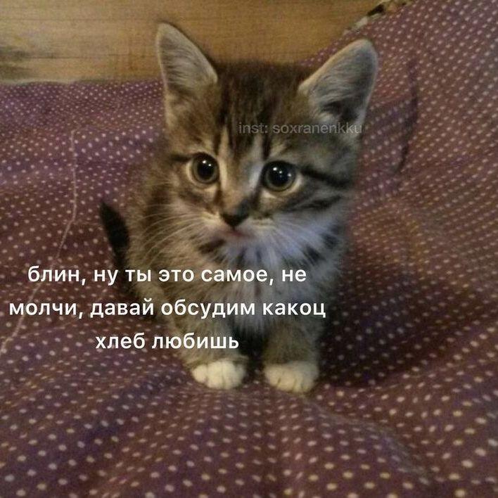 Мем от 🌸💥|цвяточный ад {ПЛМ}
