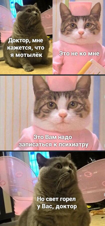 Мем от котик