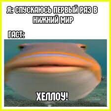 Мем от Johnny35