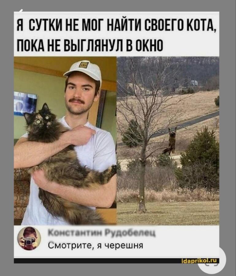 Мем от VAS_38