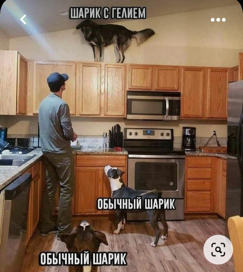 Мем от VAS_38