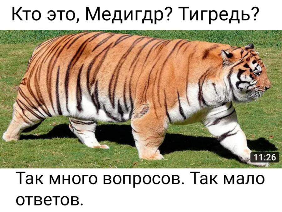 Мем от VAS_38