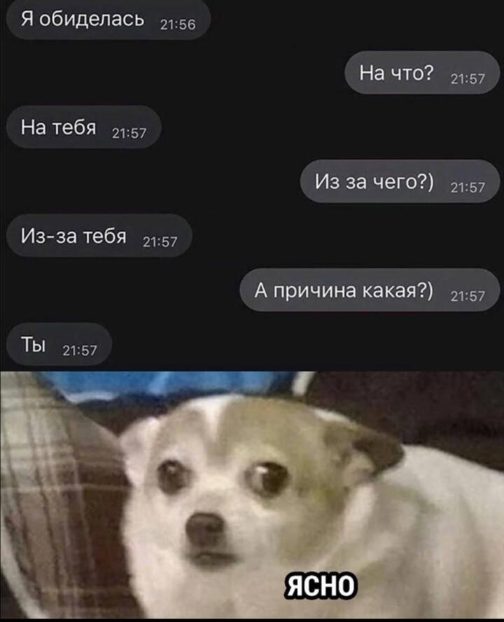Мем от ZAYTINY