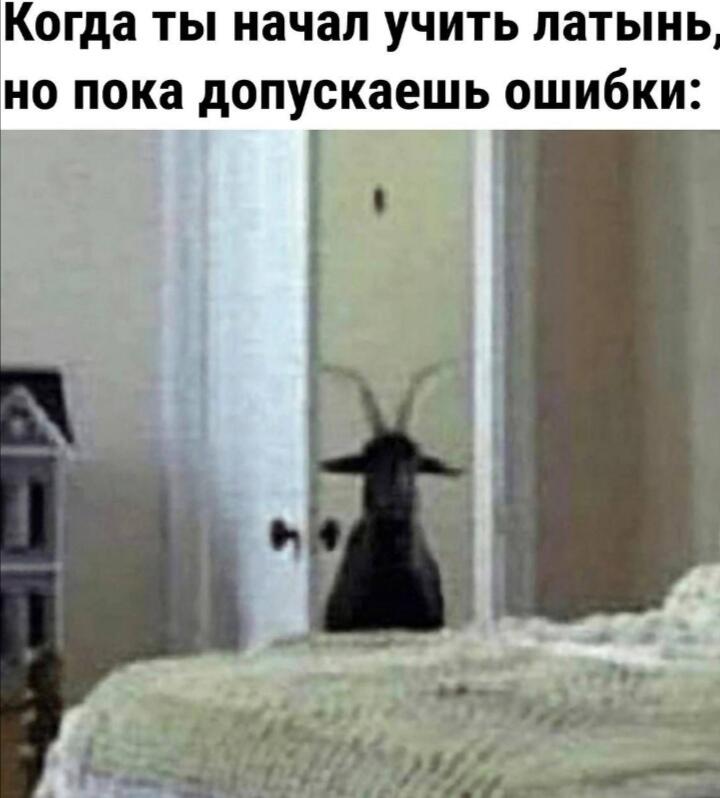Мем без подписи