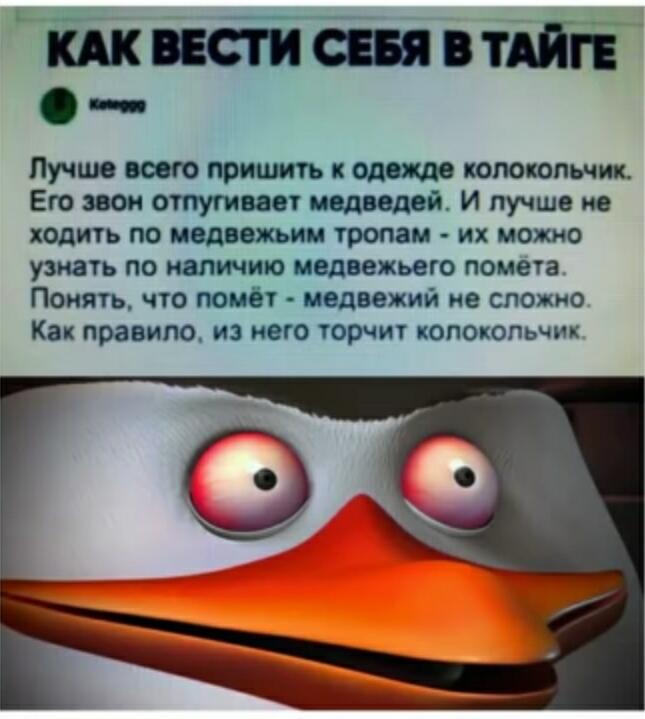 Немного о правилах безопасности: