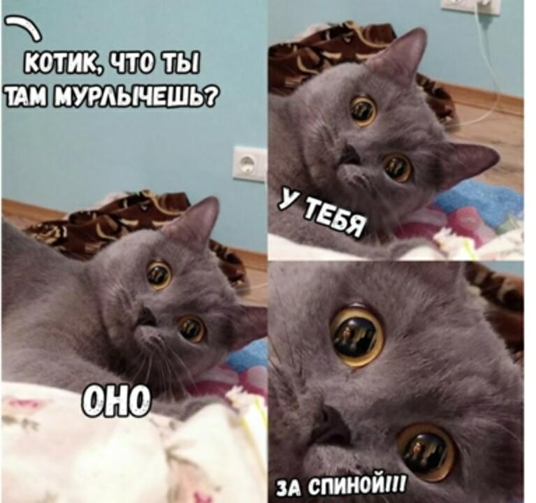 Страшна((