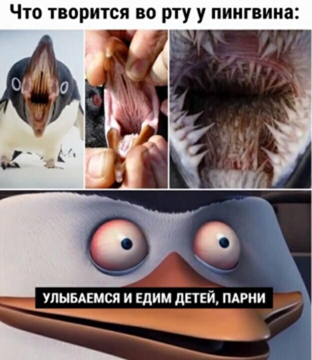 Аж дрожь по телу пробежала..