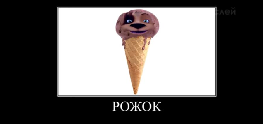 БАРБОСКИНЫ