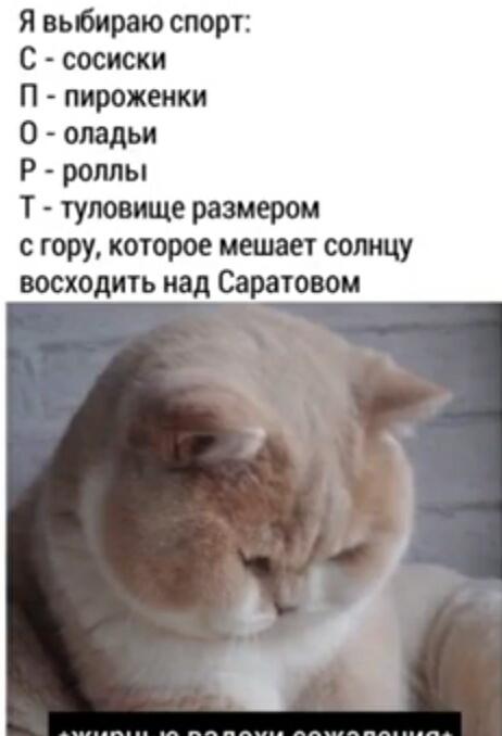 И немного кото-мемов