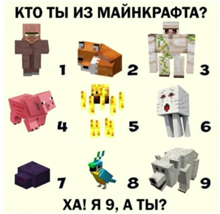 Жаль нет ни кошки, ни крипера(
