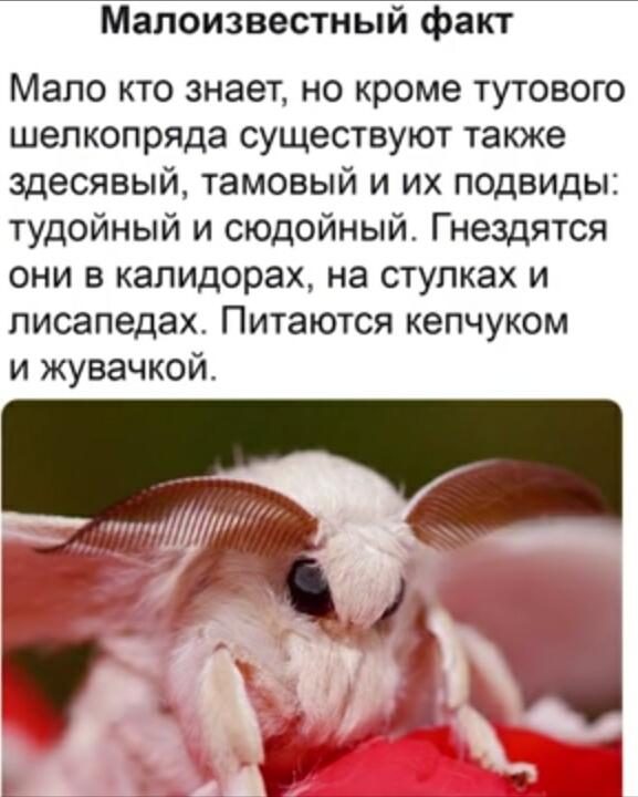 Мем от 💠KOTEHOK💠