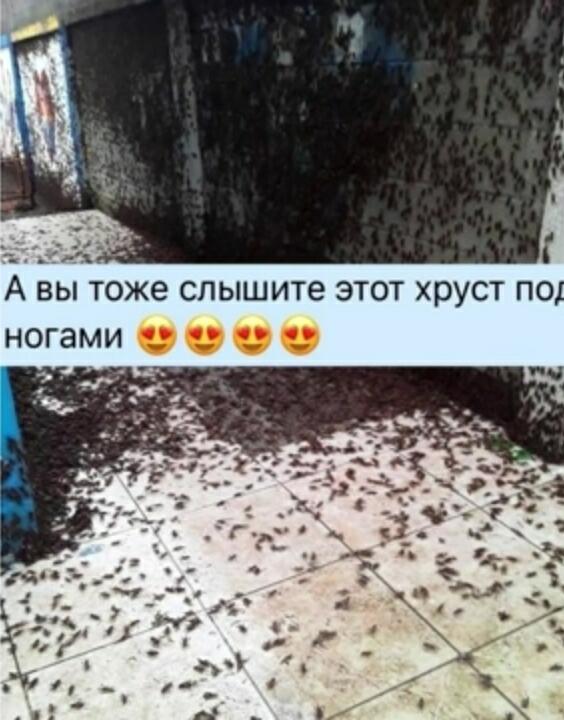 Брррр смотреть даже противно...