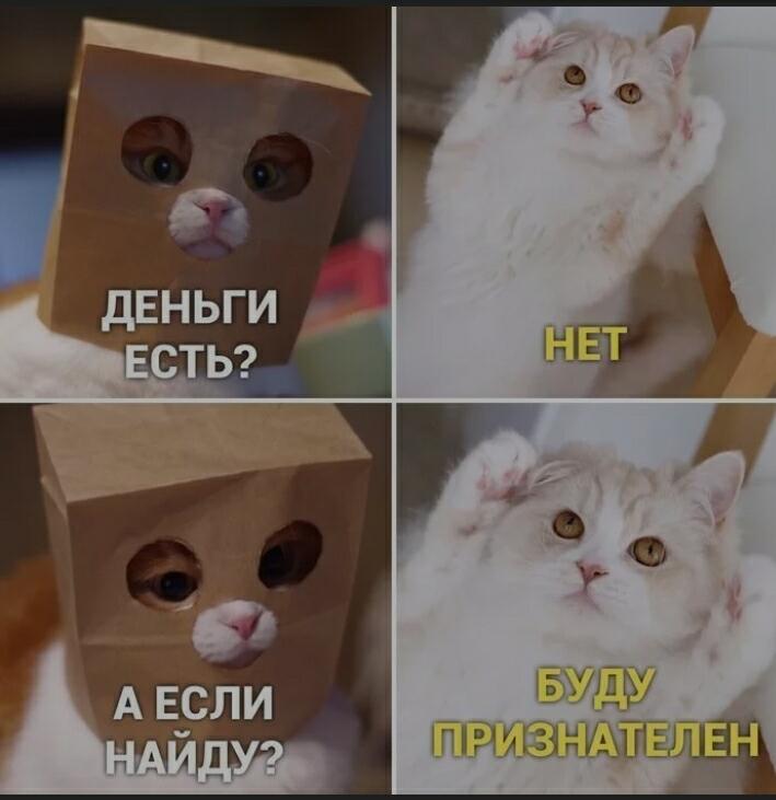 Самый знаменитый мем в мире